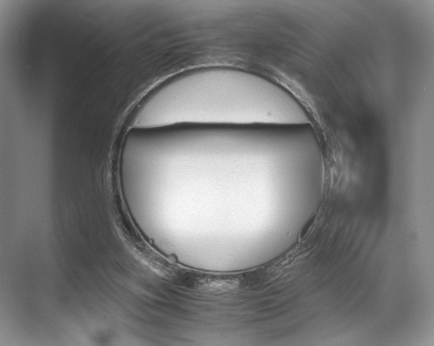 X0000071950155200607071048