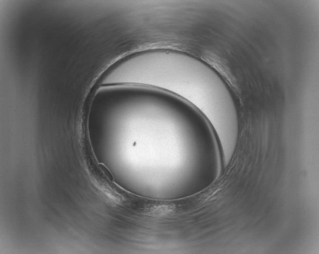 X0000071950156200607071048