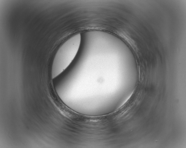 X0000071950157200607071048