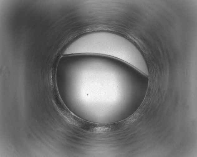 X0000071950158200607071048