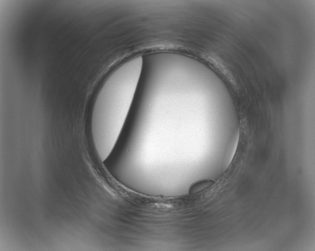 X0000071950159200607071048