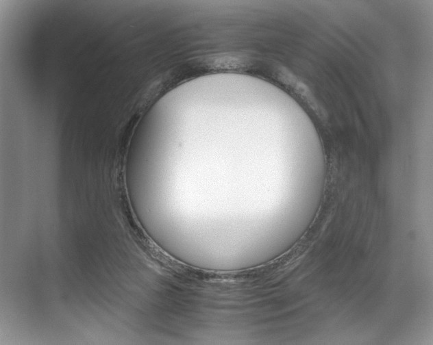 X0000071950161200607071048