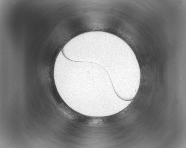 X0000071950162200607071048