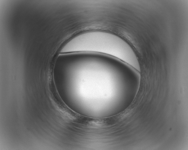 X0000071950164200607071048