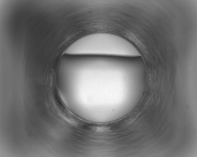 X0000071950165200607071048