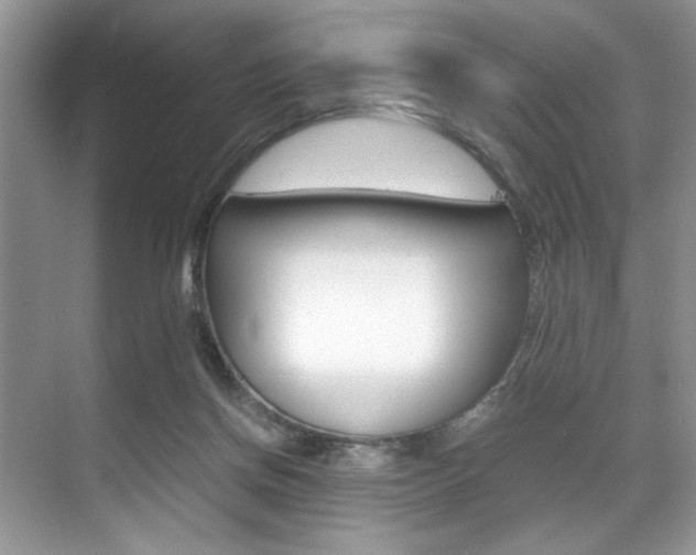 X0000071950166200607071048