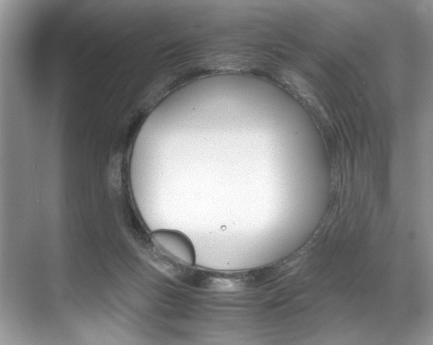 X0000071950167200607071048