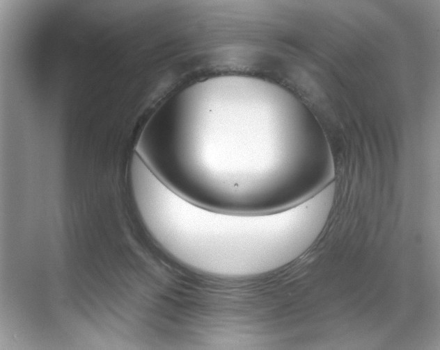 X0000071950168200607071048