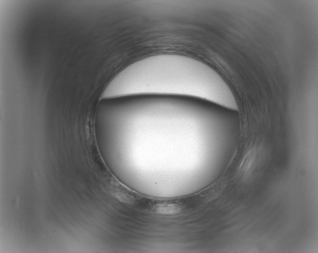 X0000071950169200607071048