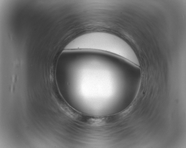 X0000071950170200607071048