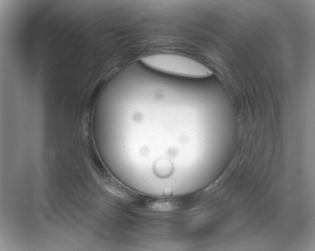 X0000071950171200607071048