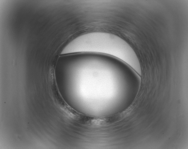 X0000071950172200607071048