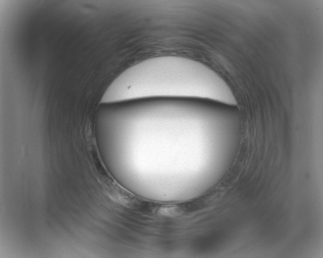 X0000071950173200607071048