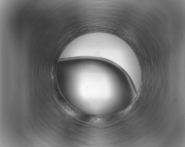 X0000071950174200607071048