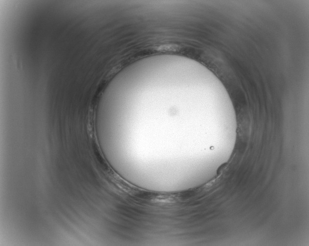 X0000071950175200607071048