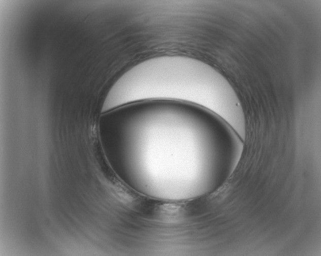 X0000071950176200607071048