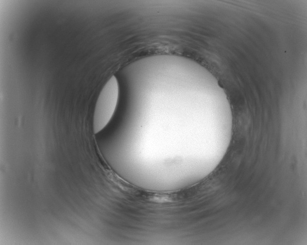 X0000071950177200607071048