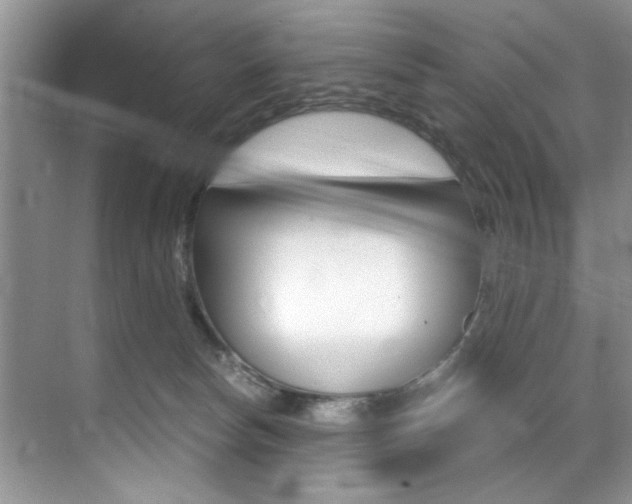 X0000071950178200607071048