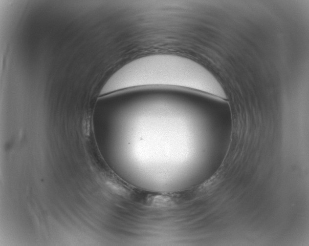 X0000071950180200607071048