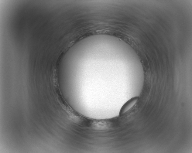 X0000071950181200607071048