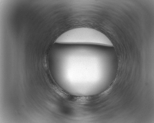 X0000071950182200607071048