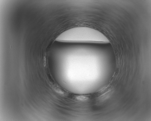 X0000071950183200607071048