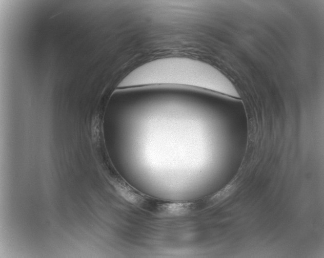 X0000071950184200607071048