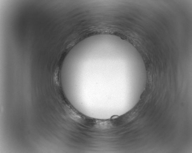 X0000071950185200607071048