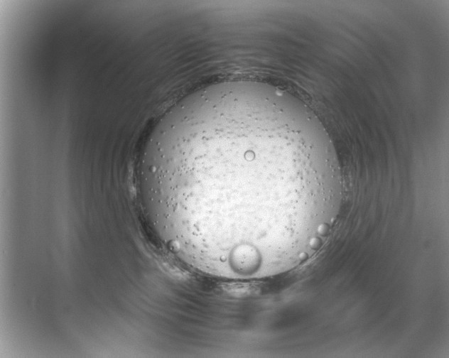 X0000071950187200607071048