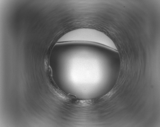 X0000071950188200607071048