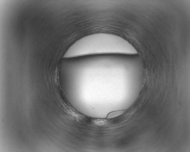 X0000071950189200607071048