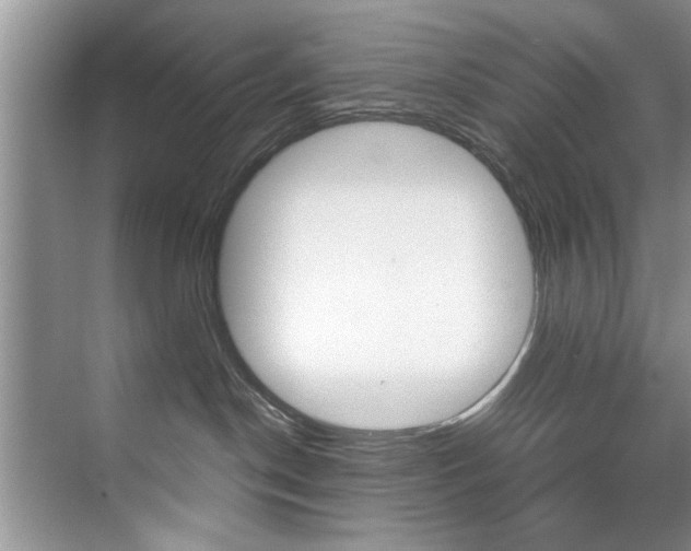 X0000071950190200607071049