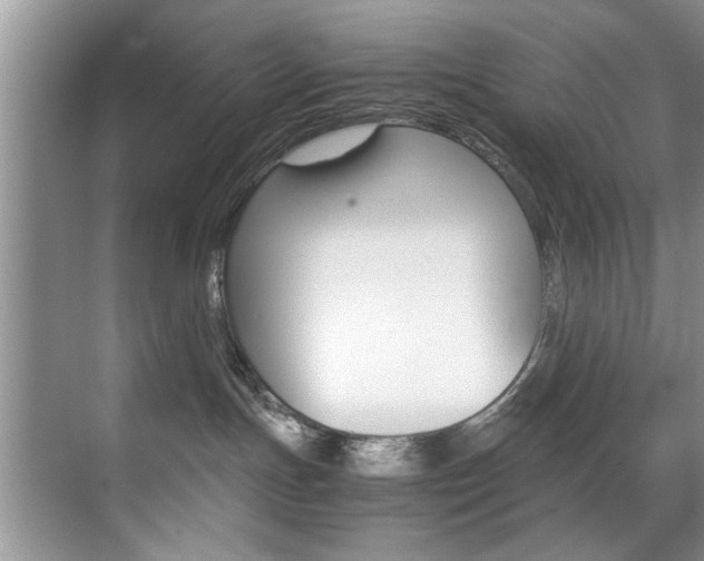 X0000071950191200607071049