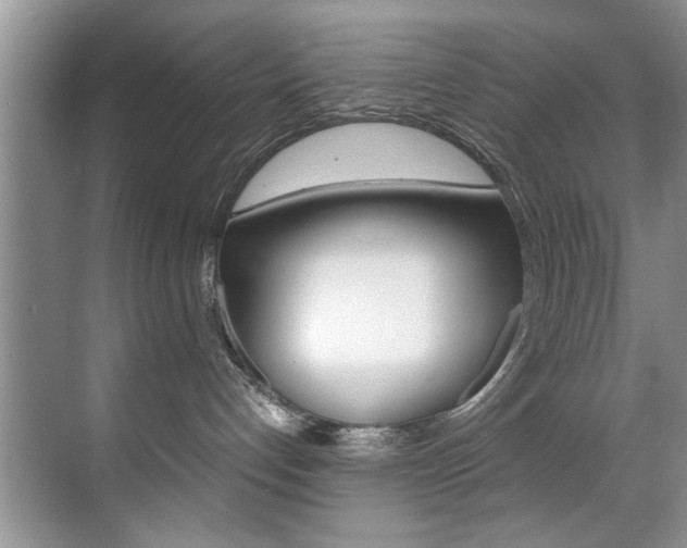 X0000071950192200607071049