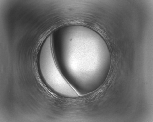 X0000071950193200607071048