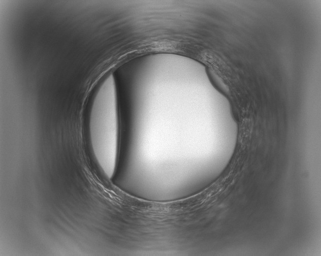 X0000071950194200607071048