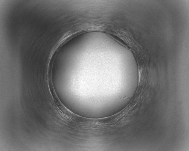 X0000071950195200607071048