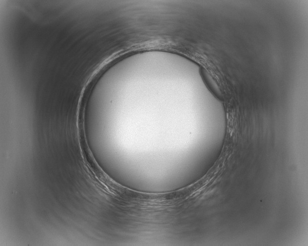 X0000071950196200607071048