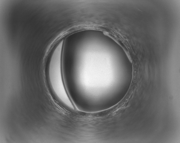 X0000071950197200607071048