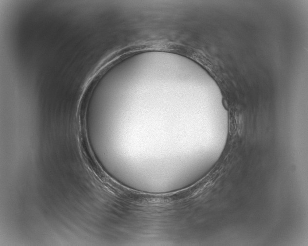 X0000071950198200607071048