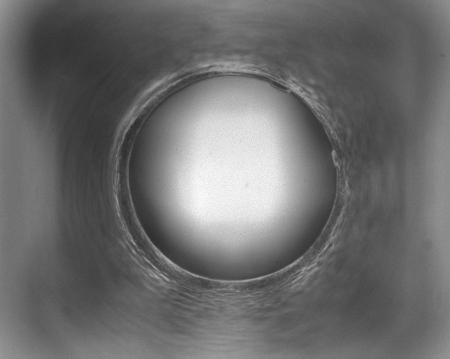 X0000071950199200607071048