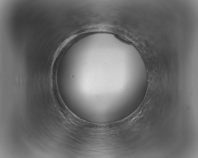 X0000071950200200607071048