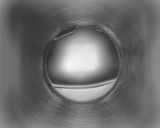 X0000071950201200607071048