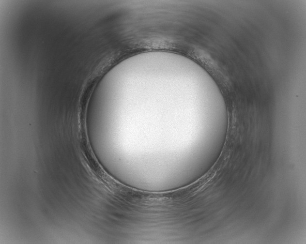 X0000071950202200607071048