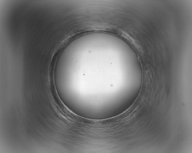 X0000071950203200607071048