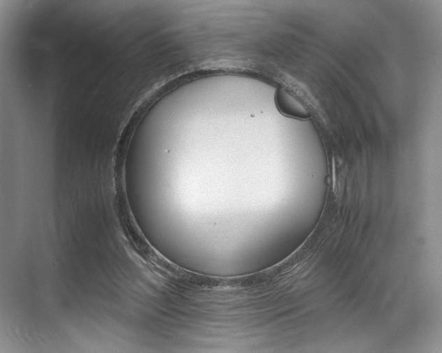 X0000071950204200607071048