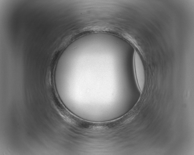 X0000071950205200607071048