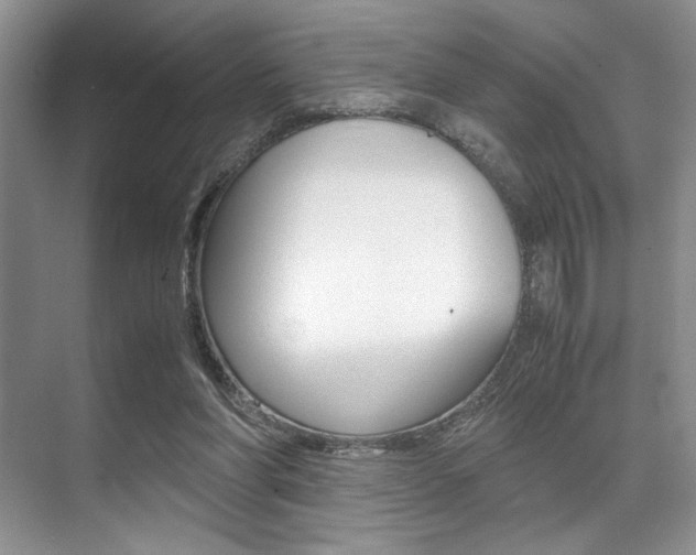 X0000071950206200607071048