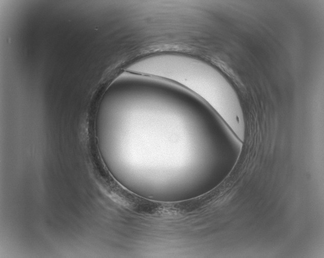 X0000071950207200607071047