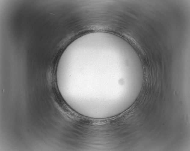 X0000071950208200607071047